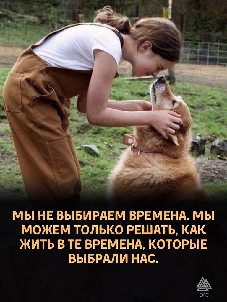   .    ,       .    ...