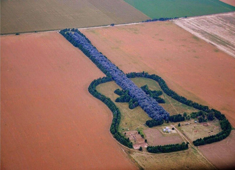     " " (Forest Guitar), .     ...