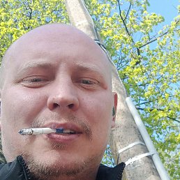 ����, �����-���������, 40 ���