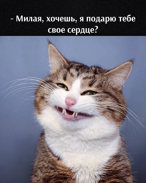       - 23  2022  11:30
