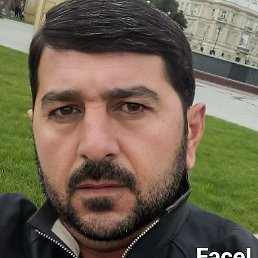 Sefa, ����, 51 ���