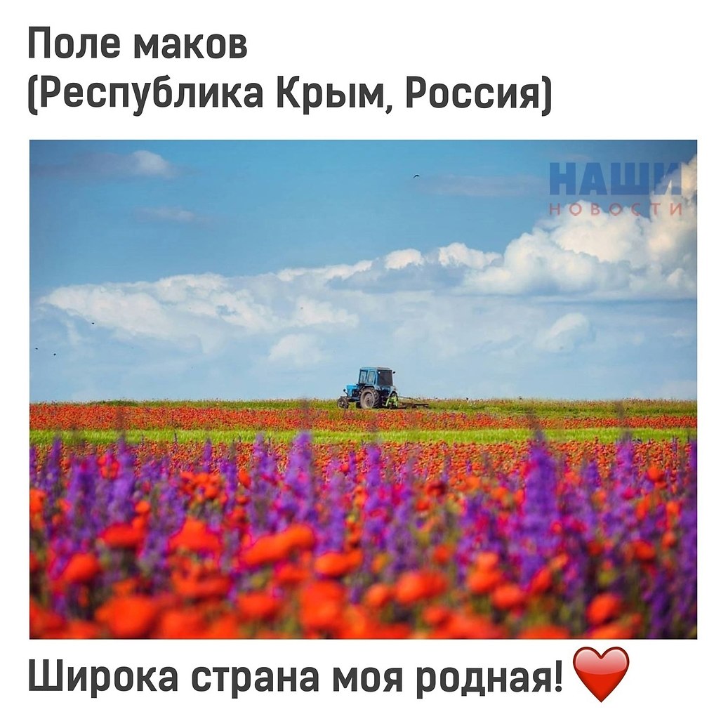   - 25  2022  19:21