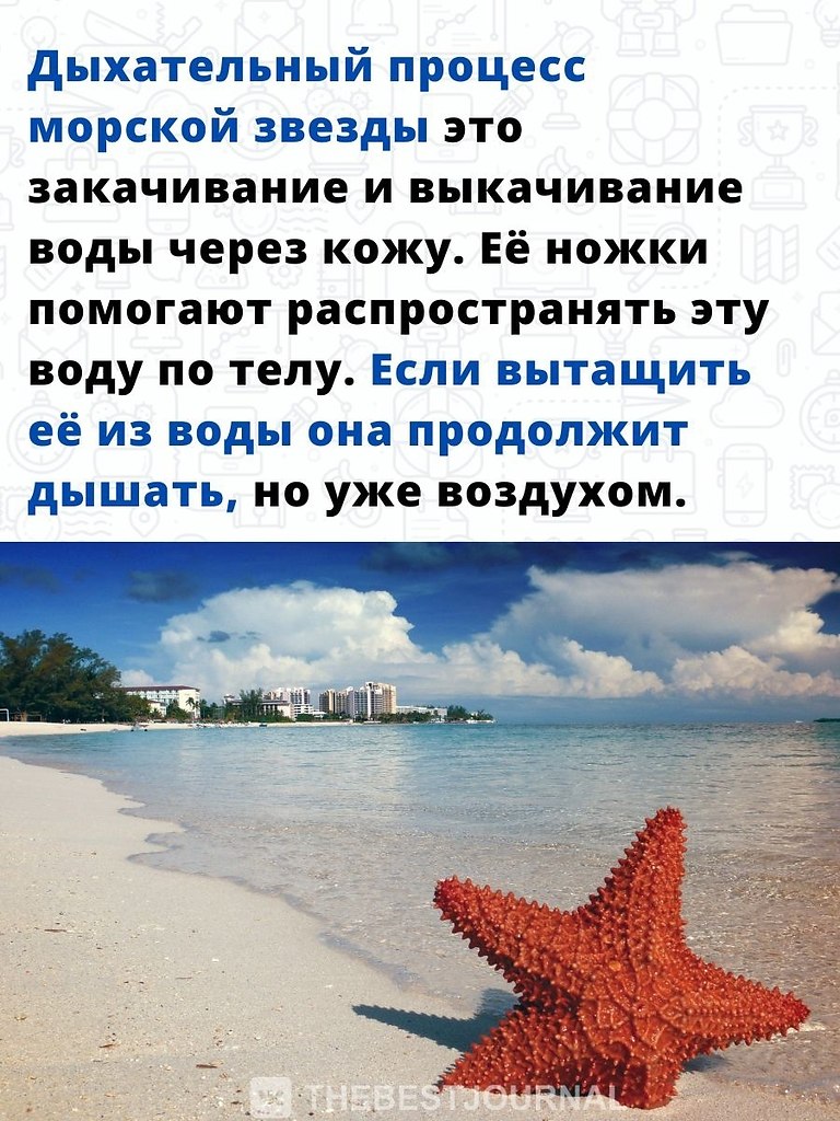 ������, ����� ������� ��� ������ ���� ������� ������, ������ - ������ ����� ��� ������ ����� �����. - 2