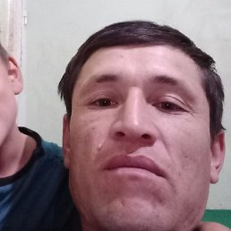 �����, ���������, 33 ����