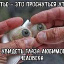 ���� ���������, ����������, 50 ��� - ��������� 13 ������� 2022
