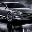 ���� �������, ��������, 36 ��� - ��������� 16 �������� 2022 � ������ ���� ����������