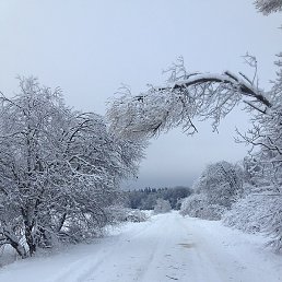 �����, ������, 61 ���