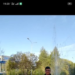 ��������, �����������, 40 ���