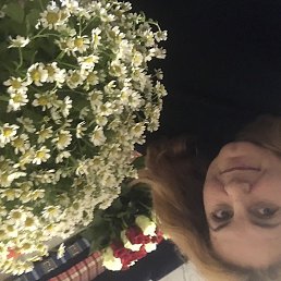 ��������, ������, 56 ���