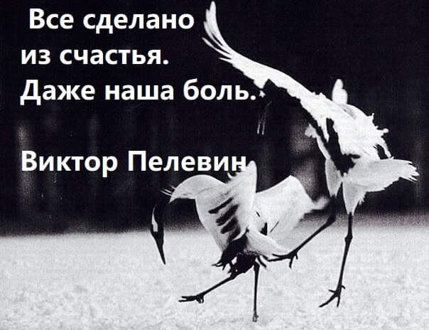 ̳ - 5  2022  23:13
