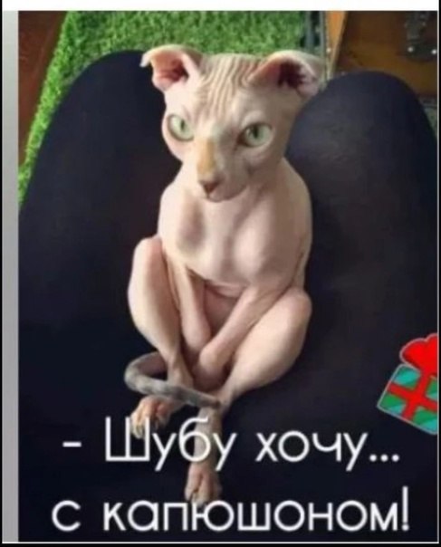   - 13  2022  19:04