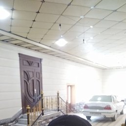 ���� Sher, �����, 50 ��� - ��������� 7 ������� 2023