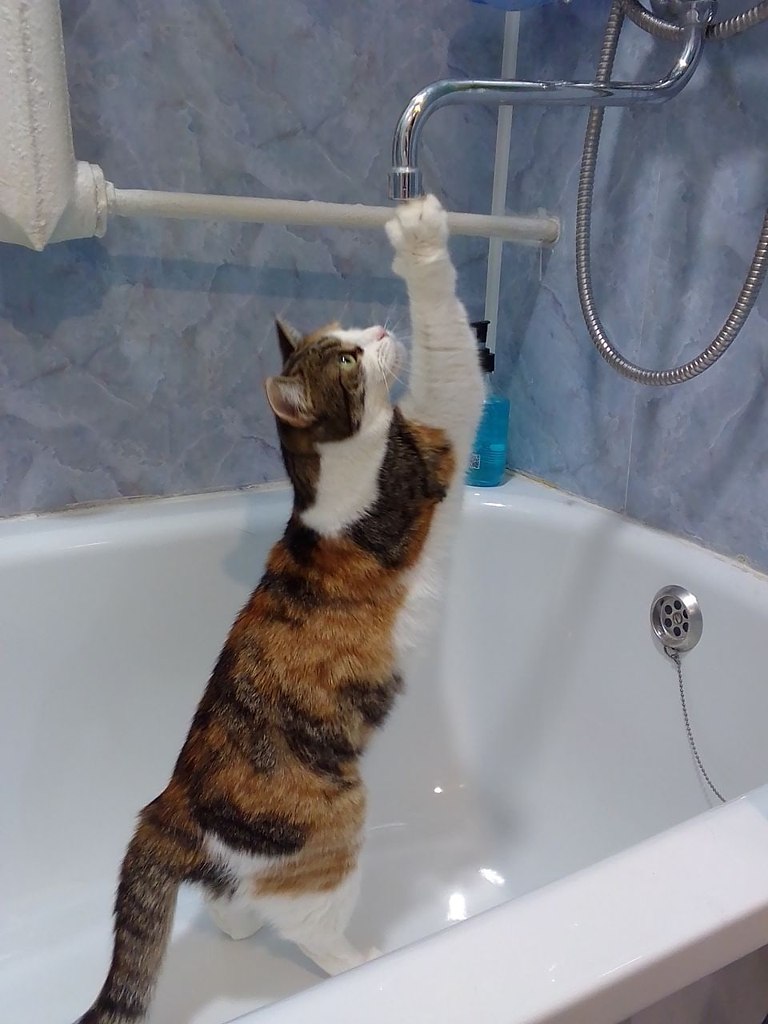 ,   ,   !