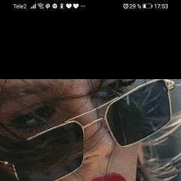 ���� �������, ����������, 53 ���� - ��������� 4 ��� 2022