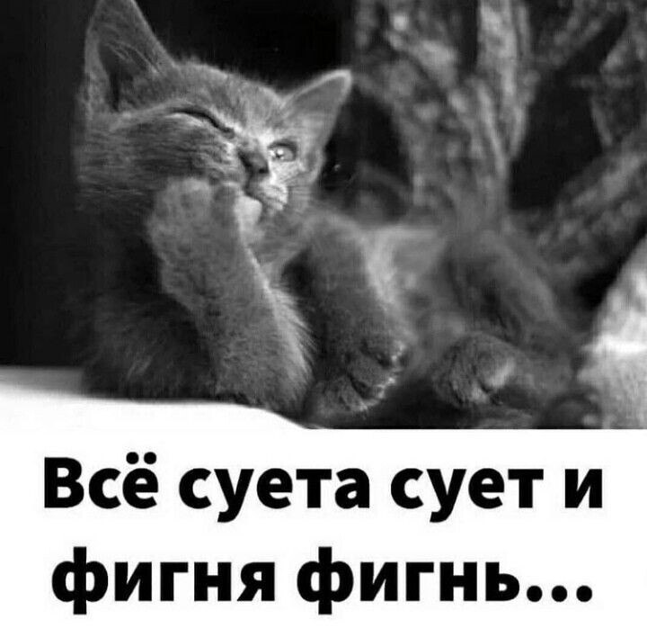 ***Victoria Viktorovna*** - 10  2022  06:26