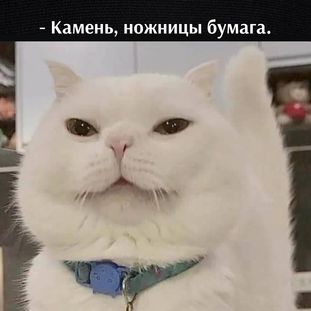       - 21  2022  16:03 - 4