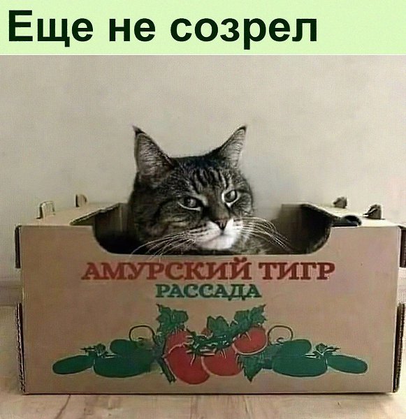 ���� �������� �������� � �������� ��c���, �� ����������� �������� � ���������� �������� �����!