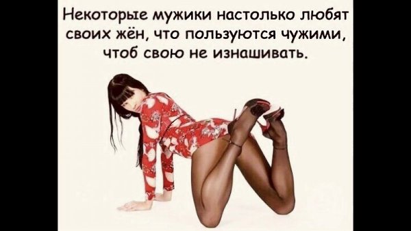      - 15  2023  20:37