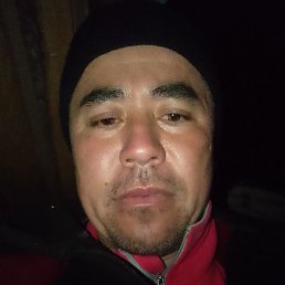 ����, ������, 41 ���