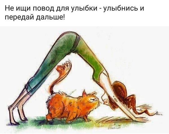   - 22  2022  19:47
