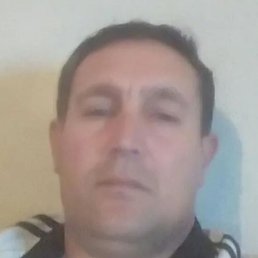 , , 44 