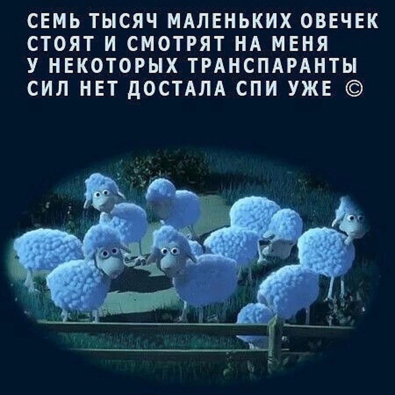 ***Victoria Viktorovna*** - 12  2022  04:34