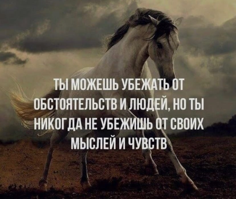   - 6  2022  18:57