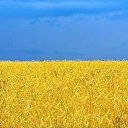 ���� ���������, �������, 41 ��� - ��������� 26 ������� 2022 � ������ ���� ����������