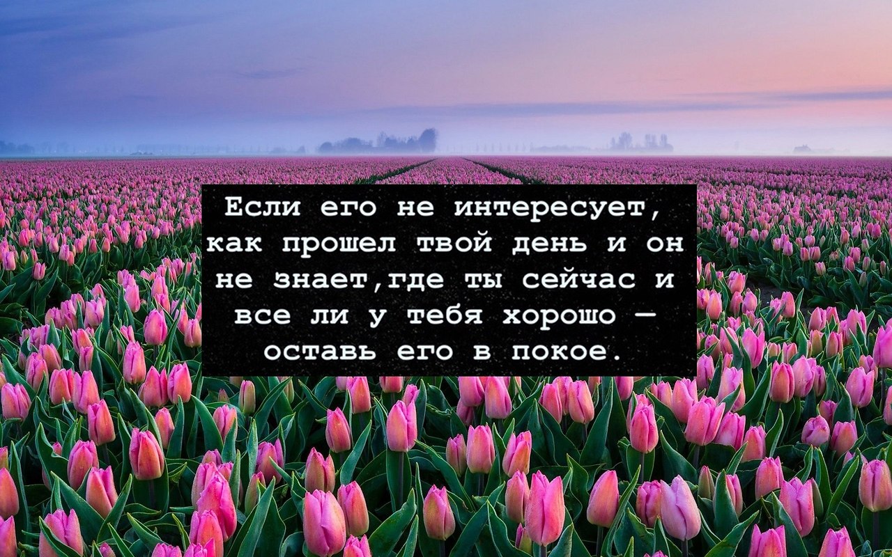   -  ,  -  - 7  2022  18:43
