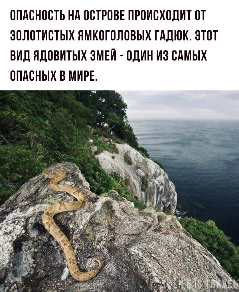 LIFE -  - 8  2022  13:31 - 2