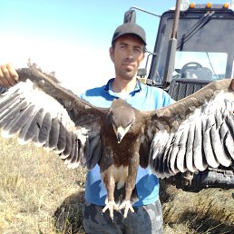 ���� �������, ������, 40 ��� - ��������� 26 ������ 2023