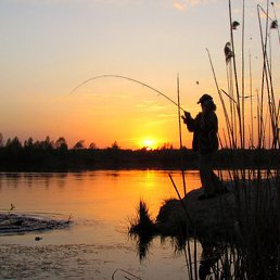 ����, ������, 62 ����