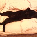 ���� ������, �������, 66 ��� - ��������� 1 ������ 2022 � ������ ������ ��������