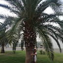 ���� ����, ��������, 49 ��� - ��������� 26 �������� 2022 � ������ ���� ����������