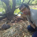 ���� �������, �����������, 42 ���� - ��������� 9 ������ 2022 � ������ ���� ����������