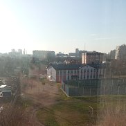 Sasha, 44 ����, �����