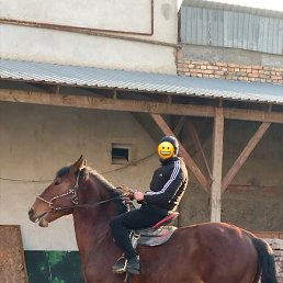 Ferek, �������, 27 ���