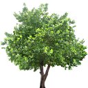 ���� ������, �����-���������, 47 ��� - ��������� 10 ����� 2022 � ������ ���� ����������