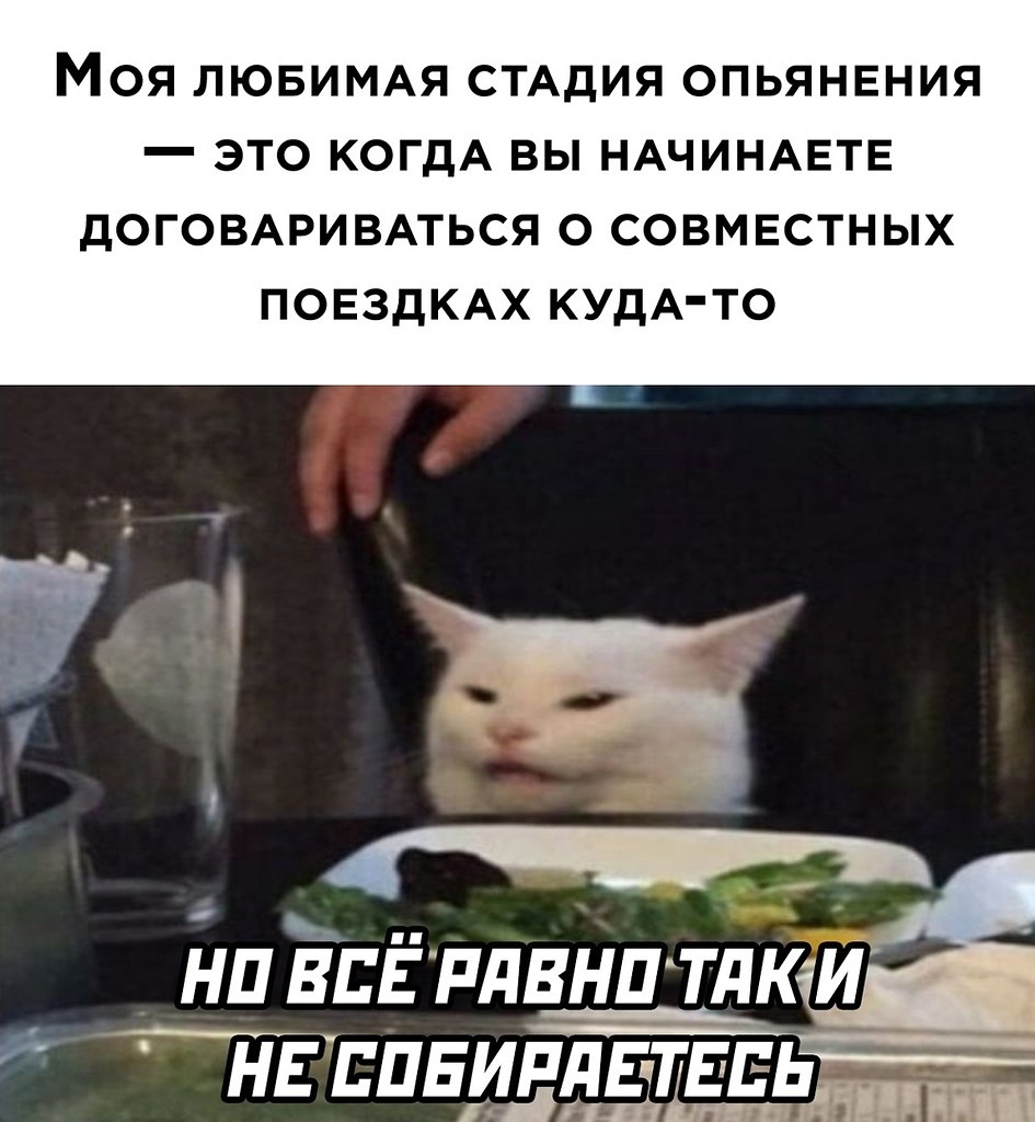 ☆ ☆ - 19  2022  23:29