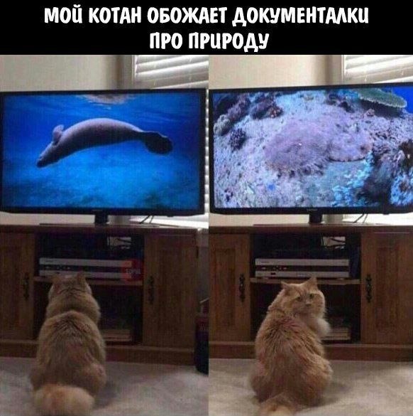    - 2  2022  20:39