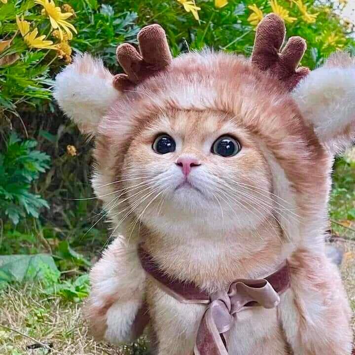 :)  ,  .      