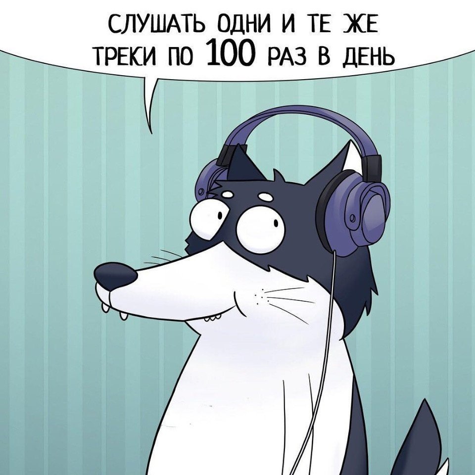         .     ,      - 6