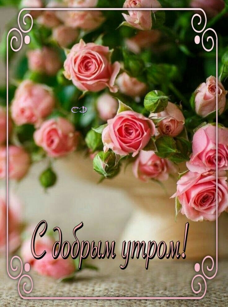   ,    . - 25  2022  22:54