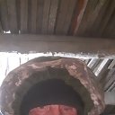 ���� ����, ������, 46 ��� - ��������� 24 ������� 2022 � ������ ���� ����������