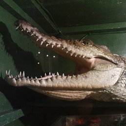 �����, ������, 24 ����