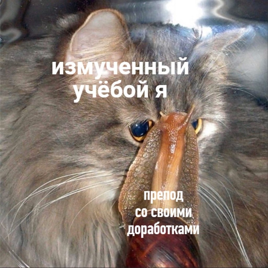    - 19  2023  02:22