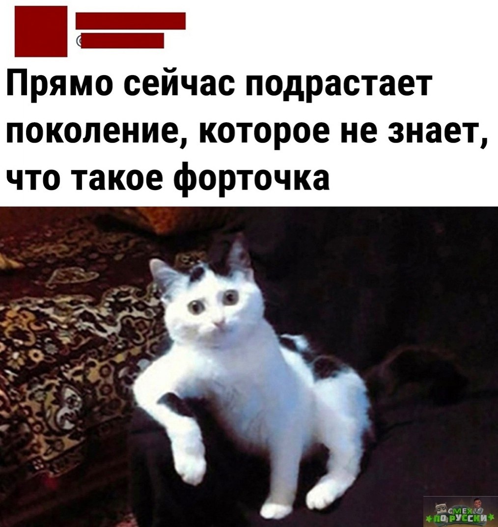  - 15  2022  18:07