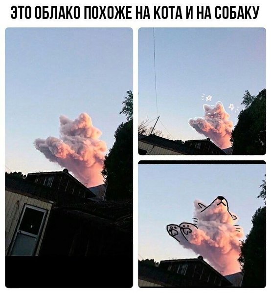    - 13  2022  12:24