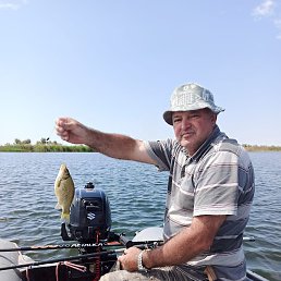 ������, ����������, 61 ���