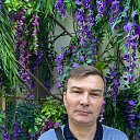 ���� ������, �����-���������, 55 ��� - ��������� 11 ������� 2023 � ������ ���� ����������